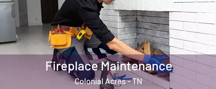 Fireplace Maintenance Colonial Acres - TN