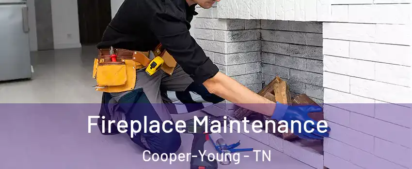 Fireplace Maintenance Cooper-Young - TN