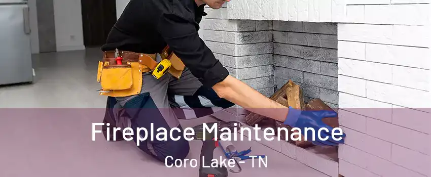 Fireplace Maintenance Coro Lake - TN