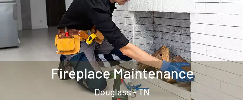 Fireplace Maintenance Douglass - TN