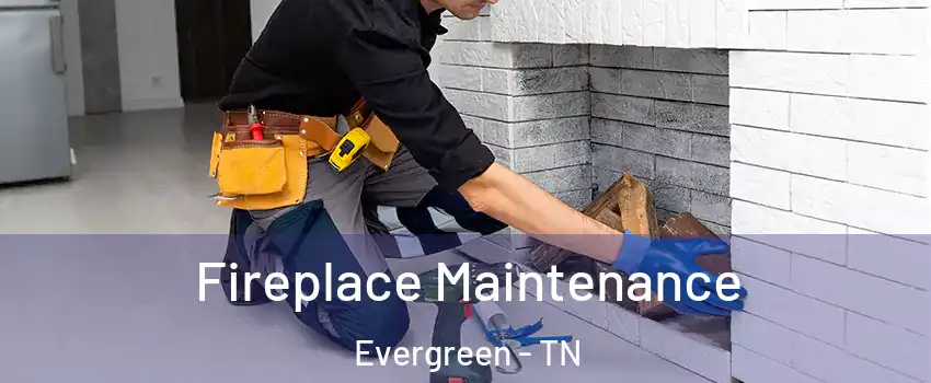 Fireplace Maintenance Evergreen - TN