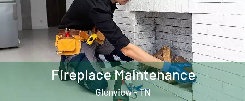 Fireplace Maintenance Glenview - TN