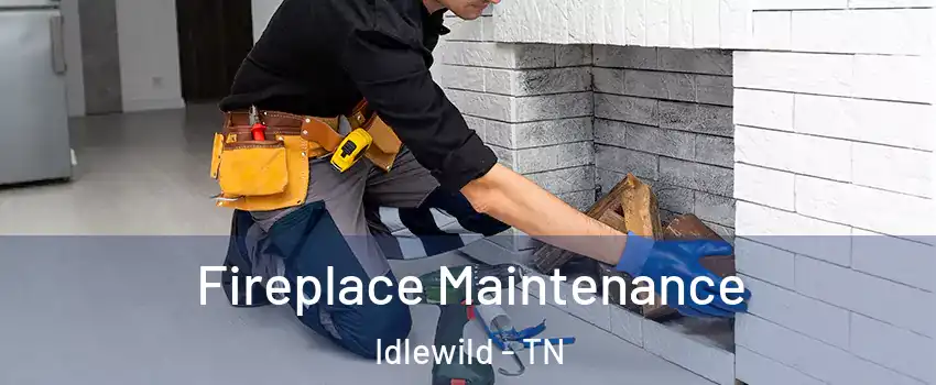 Fireplace Maintenance Idlewild - TN