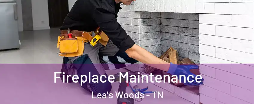 Fireplace Maintenance Lea's Woods - TN