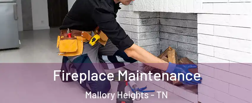 Fireplace Maintenance Mallory Heights - TN