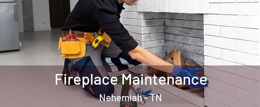 Fireplace Maintenance Nehemiah - TN