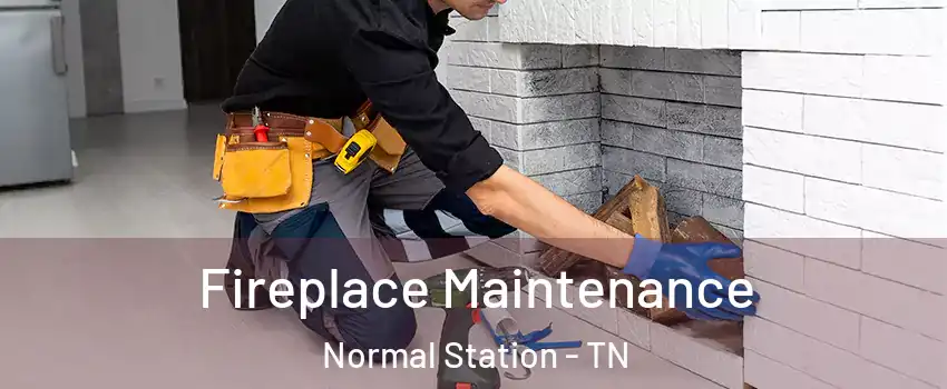 Fireplace Maintenance Normal Station - TN