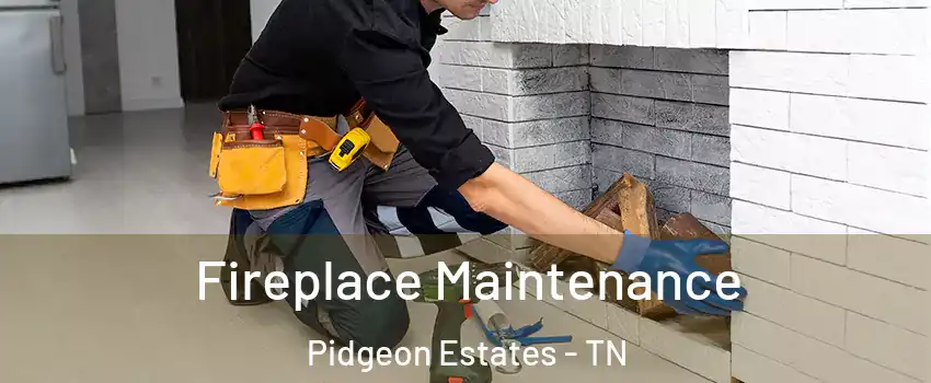 Fireplace Maintenance Pidgeon Estates - TN