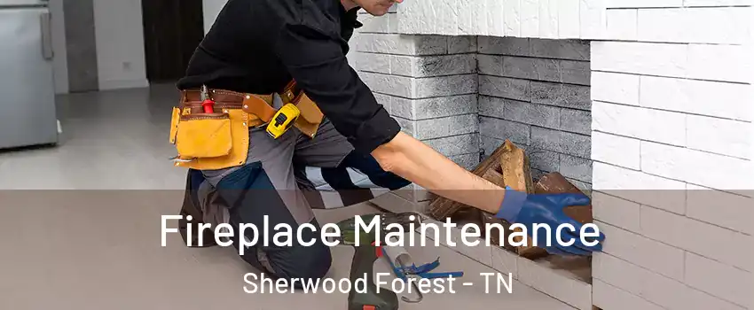 Fireplace Maintenance Sherwood Forest - TN