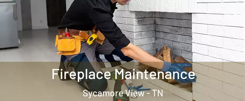 Fireplace Maintenance Sycamore View - TN