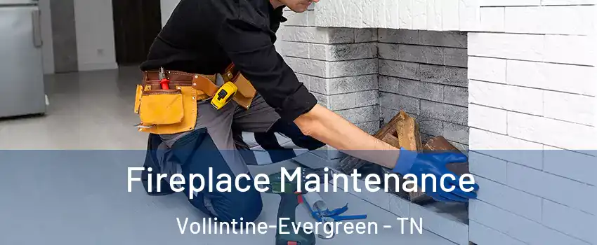 Fireplace Maintenance Vollintine-Evergreen - TN