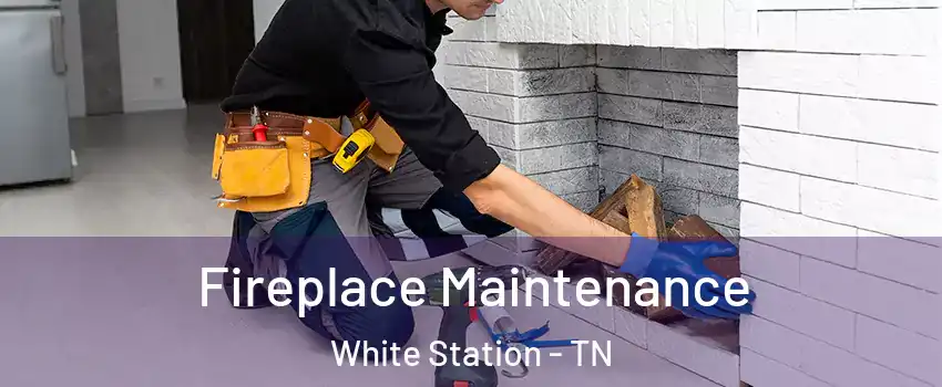 Fireplace Maintenance White Station - TN