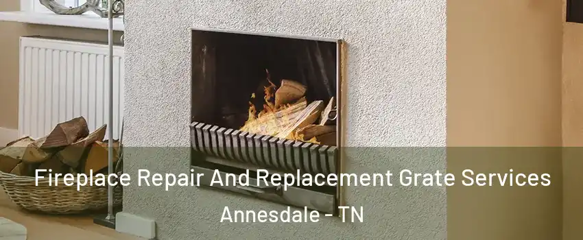 Fireplace Repair And Replacement Grate Services Annesdale - TN