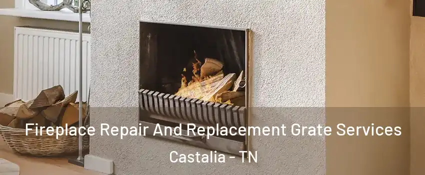 Fireplace Repair And Replacement Grate Services Castalia - TN