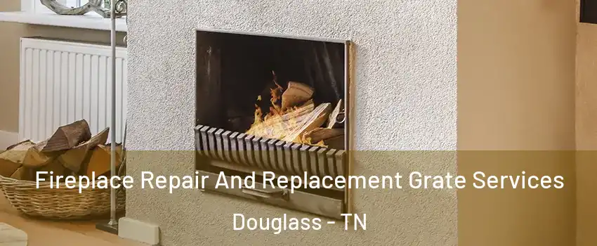 Fireplace Repair And Replacement Grate Services Douglass - TN