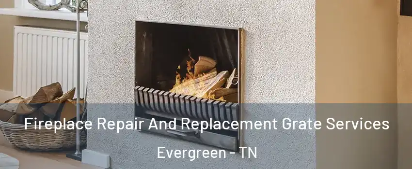 Fireplace Repair And Replacement Grate Services Evergreen - TN