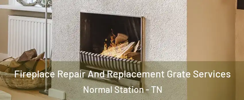 Fireplace Repair And Replacement Grate Services Normal Station - TN