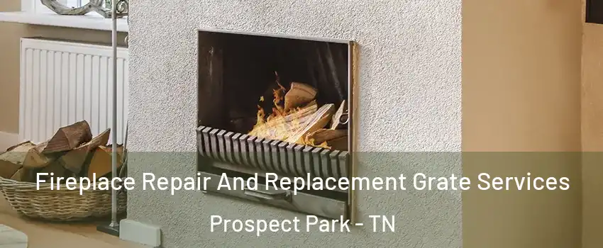 Fireplace Repair And Replacement Grate Services Prospect Park - TN