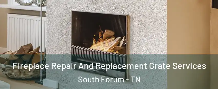 Fireplace Repair And Replacement Grate Services South Forum - TN