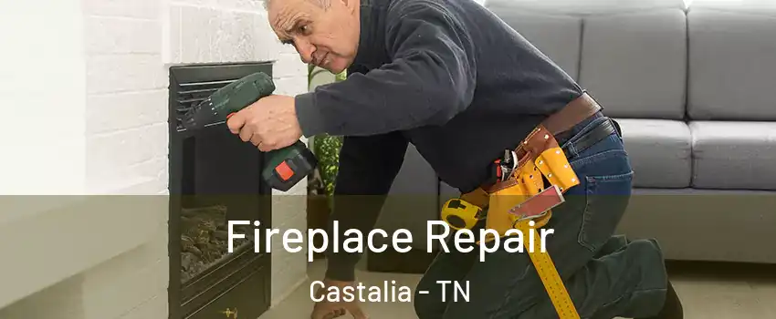 Fireplace Repair Castalia - TN