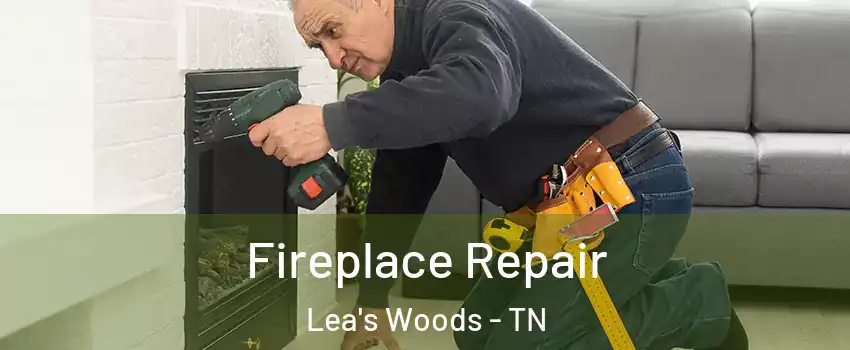 Fireplace Repair Lea's Woods - TN