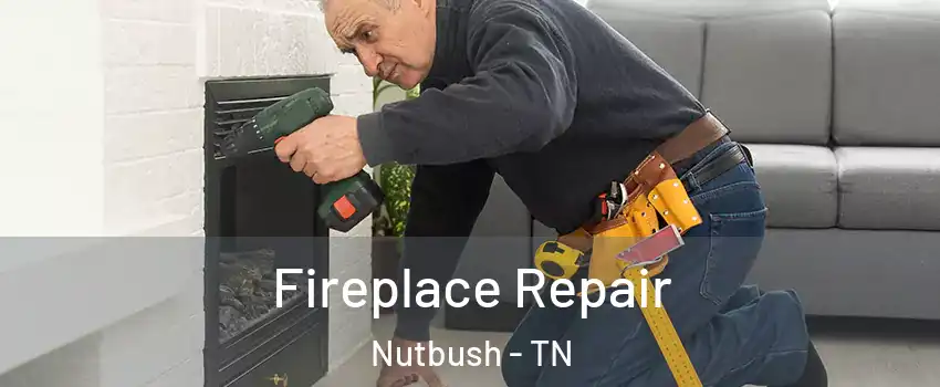 Fireplace Repair Nutbush - TN