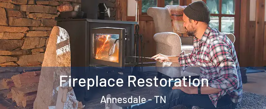 Fireplace Restoration Annesdale - TN