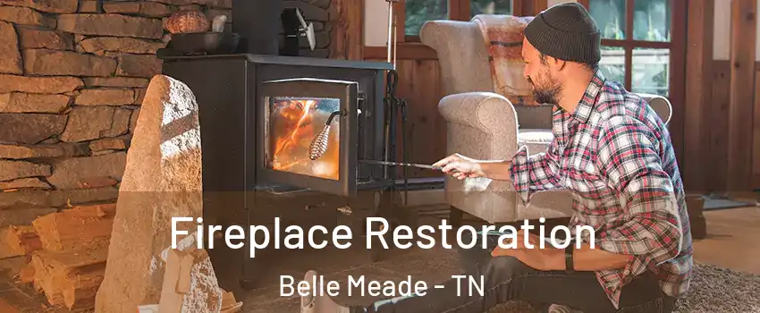 Fireplace Restoration Belle Meade - TN