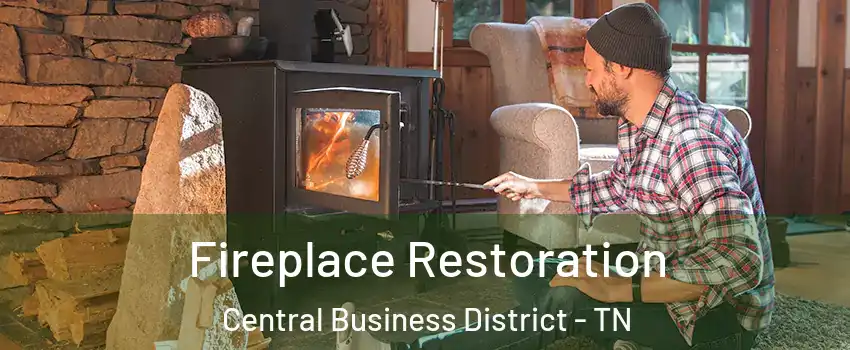 Fireplace Restoration Central Business District - TN