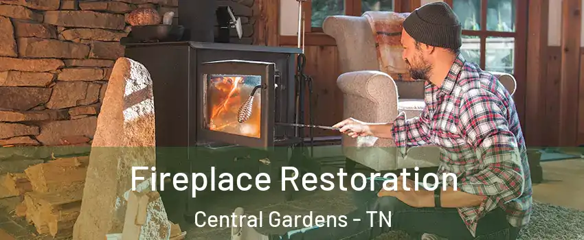 Fireplace Restoration Central Gardens - TN