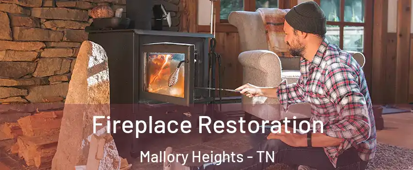 Fireplace Restoration Mallory Heights - TN