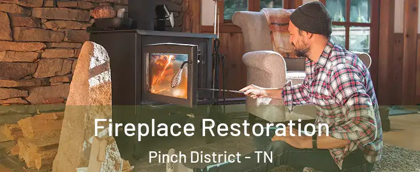 Fireplace Restoration Pinch District - TN