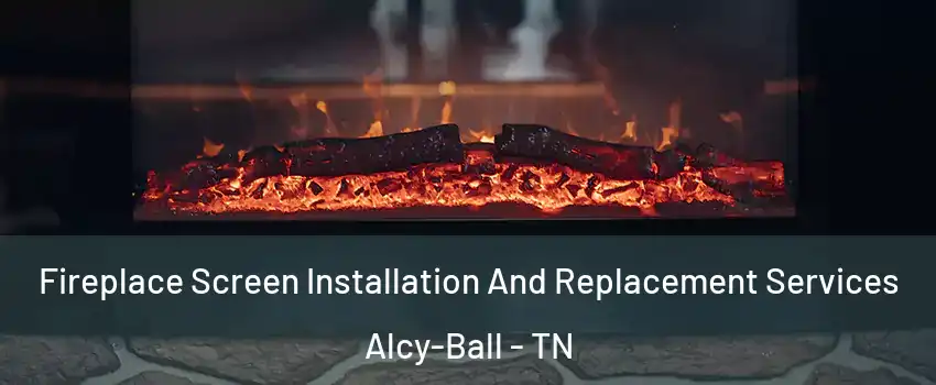 Fireplace Screen Installation And Replacement Services Alcy-Ball - TN