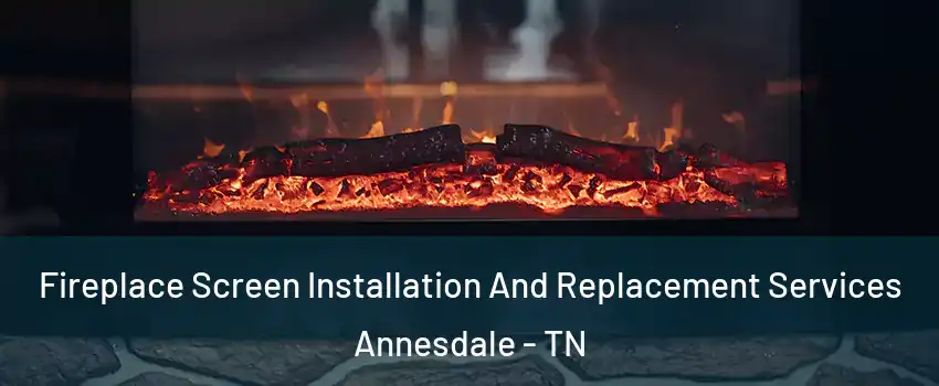 Fireplace Screen Installation And Replacement Services Annesdale - TN