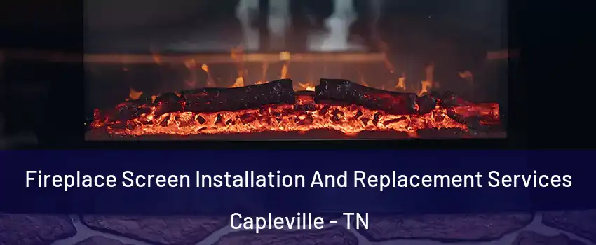 Fireplace Screen Installation And Replacement Services Capleville - TN