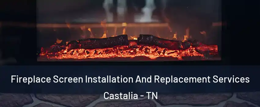 Fireplace Screen Installation And Replacement Services Castalia - TN