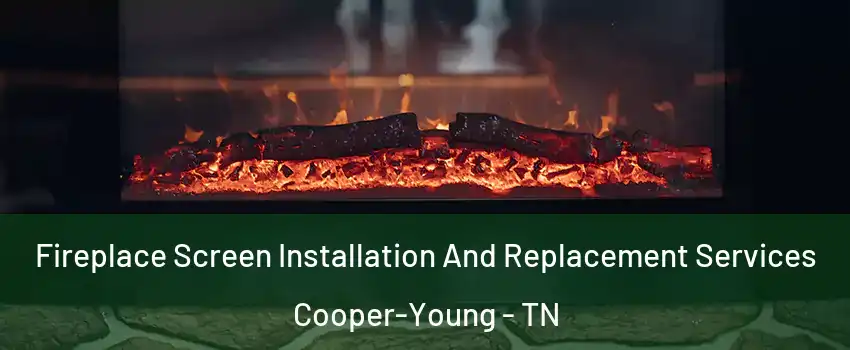 Fireplace Screen Installation And Replacement Services Cooper-Young - TN