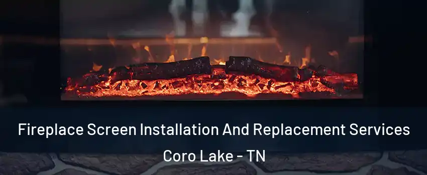 Fireplace Screen Installation And Replacement Services Coro Lake - TN