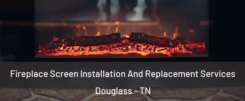 Fireplace Screen Installation And Replacement Services Douglass - TN