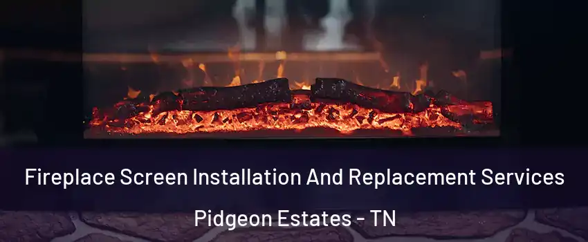 Fireplace Screen Installation And Replacement Services Pidgeon Estates - TN