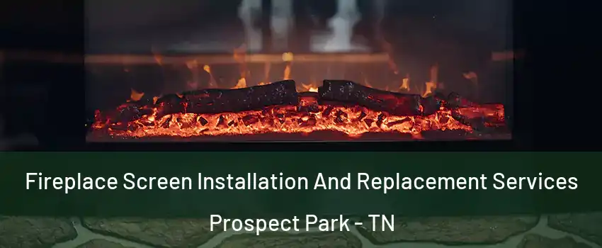 Fireplace Screen Installation And Replacement Services Prospect Park - TN