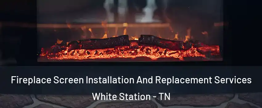 Fireplace Screen Installation And Replacement Services White Station - TN