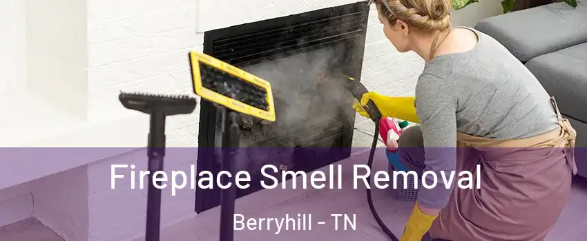 Fireplace Smell Removal Berryhill - TN