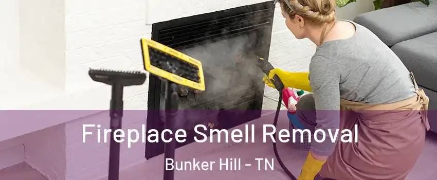 Fireplace Smell Removal Bunker Hill - TN