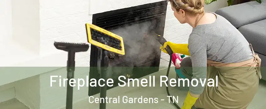 Fireplace Smell Removal Central Gardens - TN