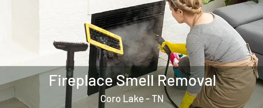 Fireplace Smell Removal Coro Lake - TN