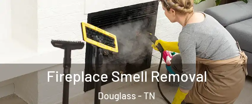 Fireplace Smell Removal Douglass - TN