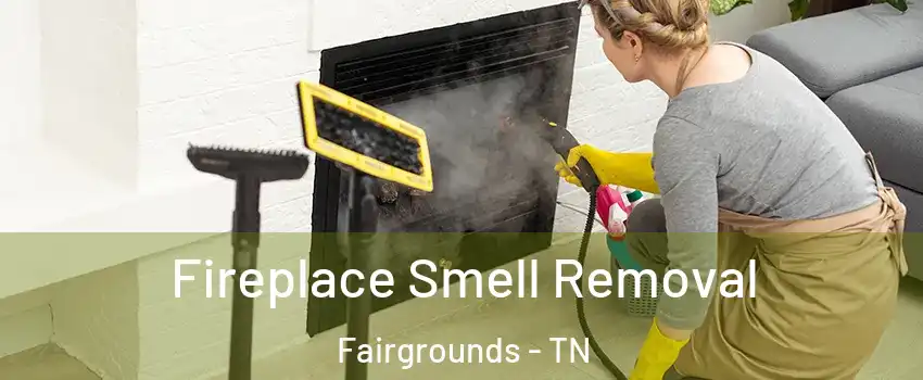 Fireplace Smell Removal Fairgrounds - TN