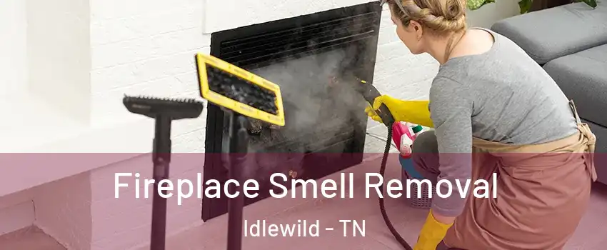 Fireplace Smell Removal Idlewild - TN