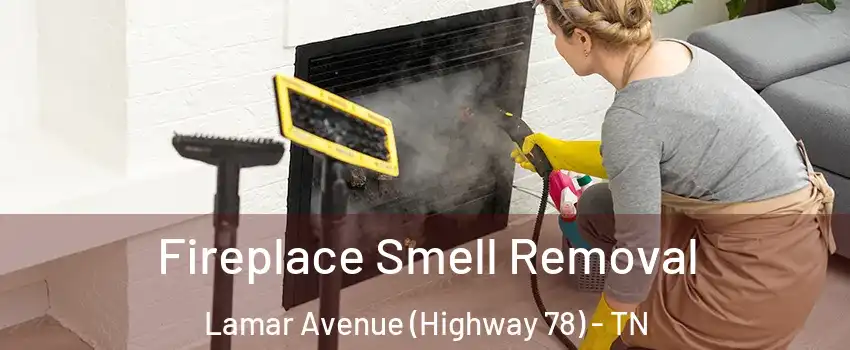 Fireplace Smell Removal Lamar Avenue (Highway 78) - TN